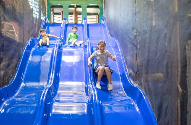 SHOREVIEW COMMUNITY CENTER | Have a Tropical Adventure!