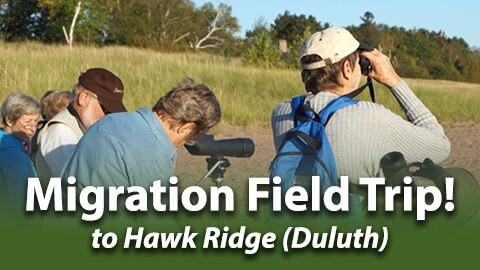 NATIONAL EAGLE CENTER | Two-Day Hawk Ridge Raptor Trip!