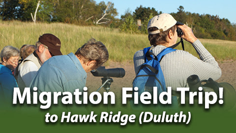 NATIONAL EAGLE CENTER | See Spring Migration at Hawk Ridge!