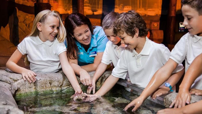 SEALIFE AT MALL OF AMERICA | Spring Admissions Only Field Trips!