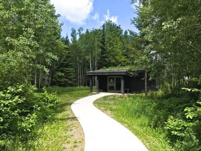 IRON RANGE TOURISM | Sax-Zim Bog, Waffles & Warblers