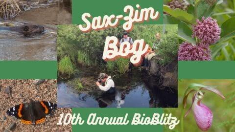 IRON RANGE TOURISM | BioBlitz at Sax-Zim Bog