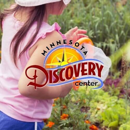 MINNESOTA DISCOVERY CENTER | Dragons & Damsels