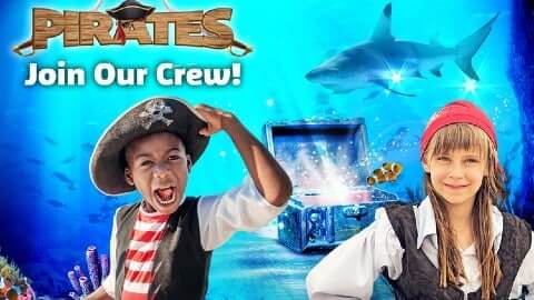 SEA LIFE AT MALL OF AMERICA | Homeschool Weeks return Monday!