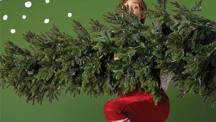 MALL OF AMERICA | Festival of Trees