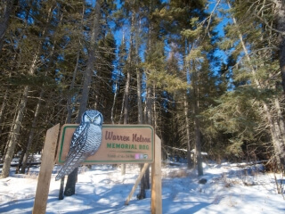 IRON RANGE TOURISM | Winter Through a Hand Lens