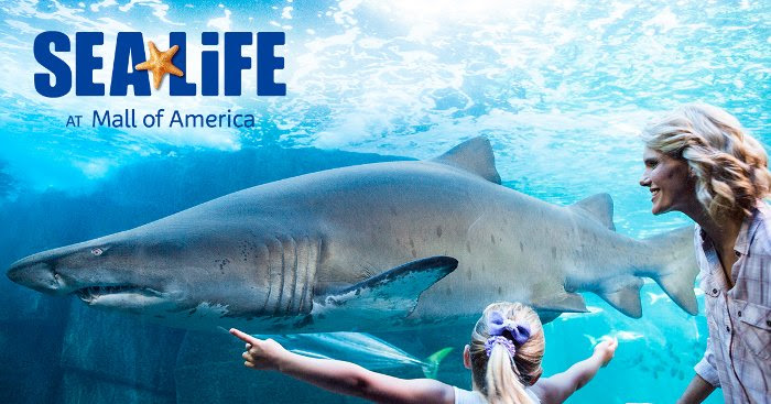 SEA LIFE AT MALL OF AMERICA | Education Workshops return in Feb!
