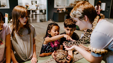 BELL MUSEUM | Explore and discover at the Bell