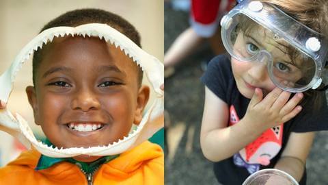 SCIENCE MADE FUN | SAC Science Activity