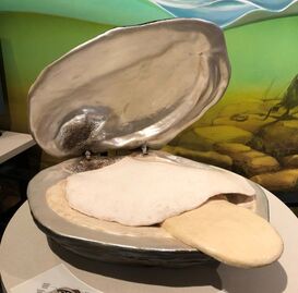 DISCOVER AUSTIN MN | Clean Water Takes lots Mussel Power