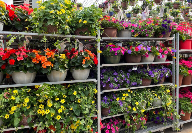 GERTENS FUNDRAISING | It’s Time to Deliver Spring!