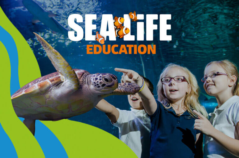 SEALIFE AT MOA | Free Teacher Days!