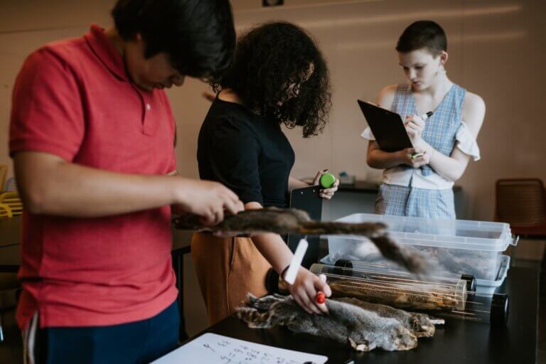 BELL MUSEUM | K–12 Field Trips & Groups