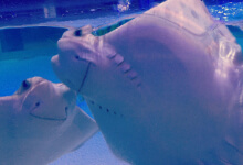 SEALIFE MOA | Free Teacher Open House Feb. 7th!