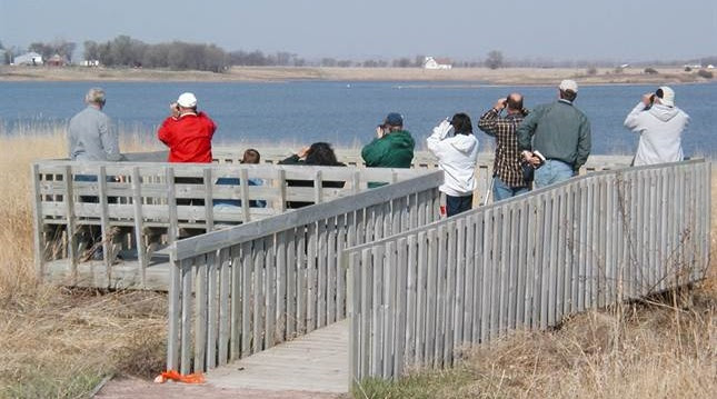 BIKE TO MINNESOTA’S ﻿SALT LAKE BIRDING FESTIVAL