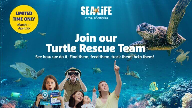 SEA LIFE AT MALL OF AMERICA | Come Join Our Turtle Rescue Team!