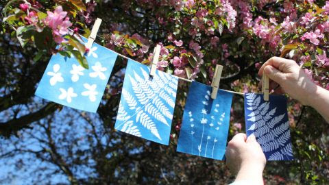 ASPIRE ARTISAN STUDIOS AND FOLK SCHOOL | Nature is Calling