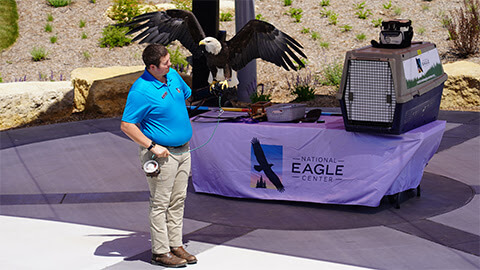 NATIONAL EAGLE CENTER | Education On The Road With Eagles!
