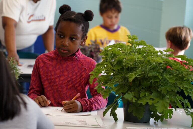 COMO PARK ZOO AND CONSERVATORY | Como Education Programs