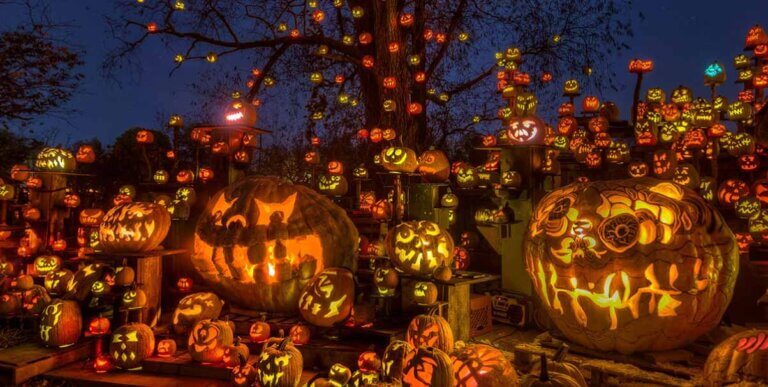 MINNESOTA ZOO | Jack O Lantern Spectacular