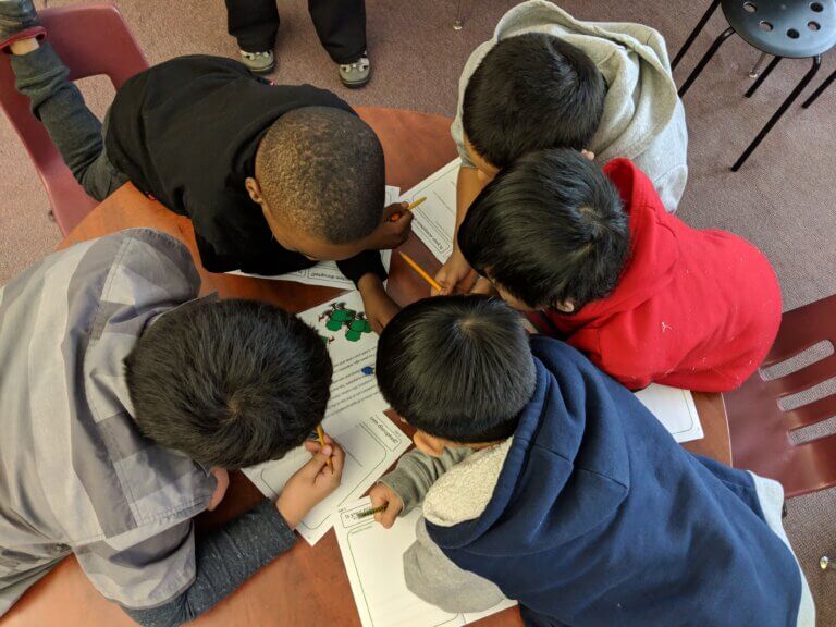 COMO PARK ZOO AND CONSERVATORY | Como Residency Program