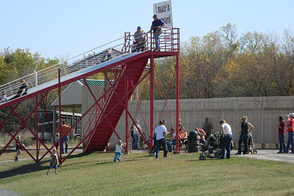 Amaze’n Farmyard - Slider Image 3 - AMFyard  Slide