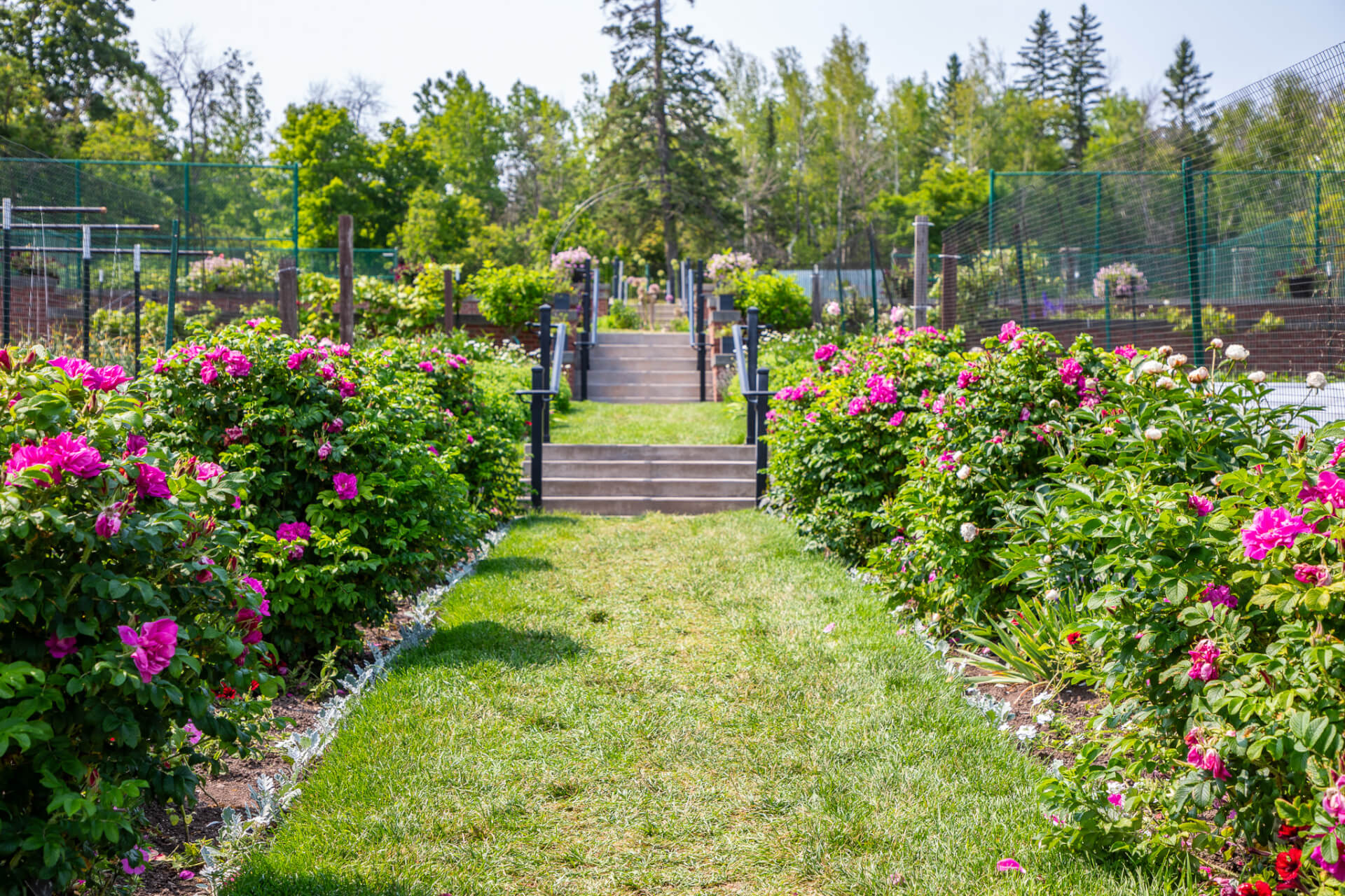 Glensheen Mansion - Slider Image 4 - Copy Of 1X4A1430