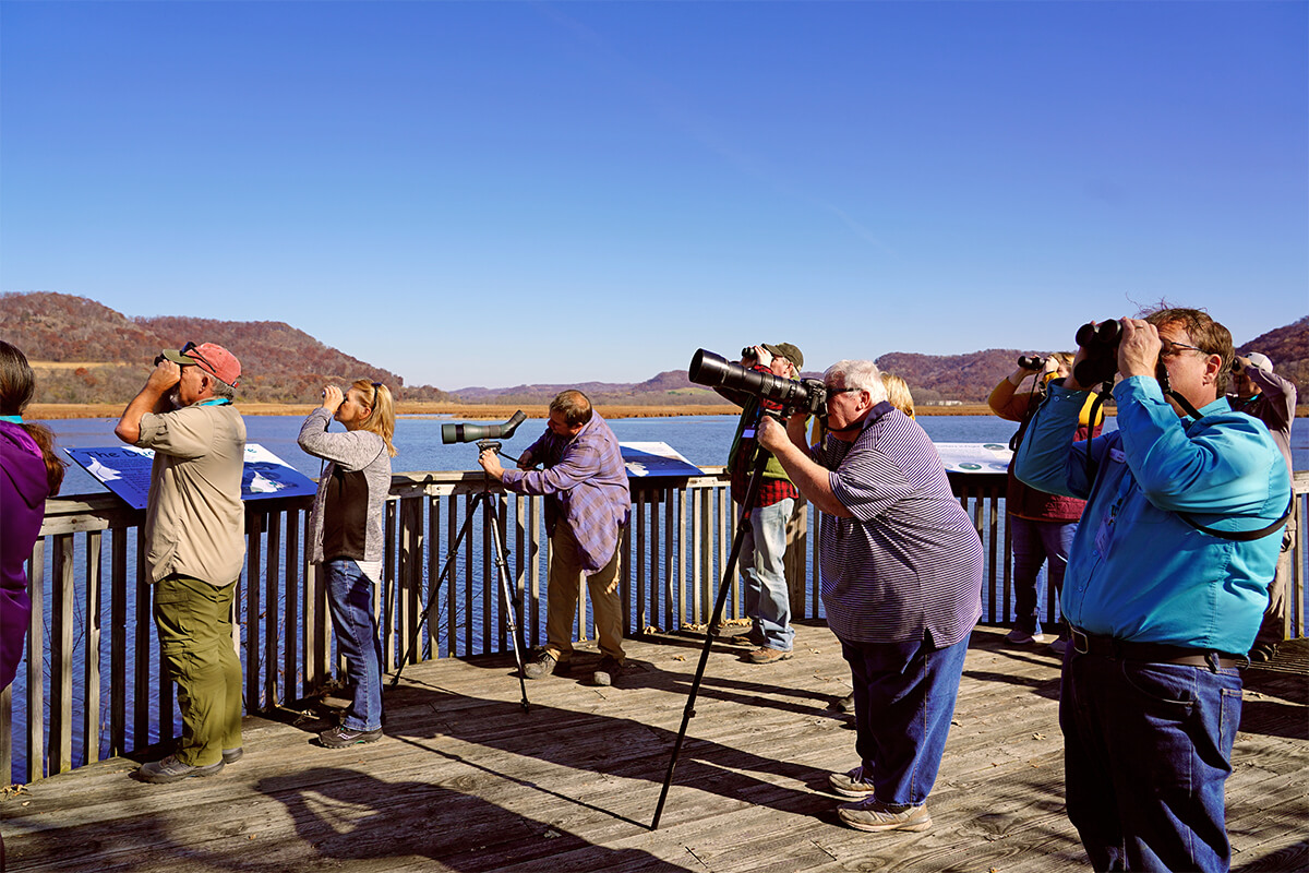 National Eagle Center - Slider Image 2 - EagleFieldTrip