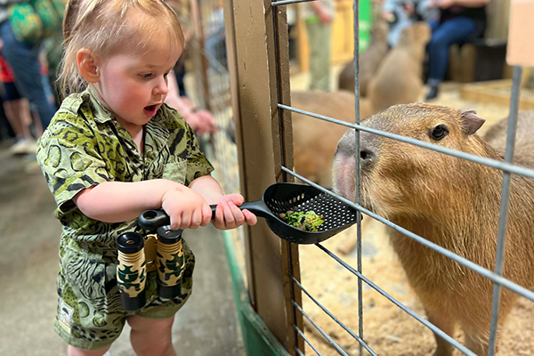 Sustainable Safari - Slider Image 2 - SS Slider 2