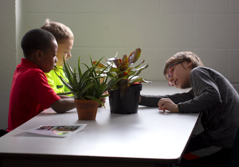 COMO PARK ZOO & CONSERVATORY | School programs with Como