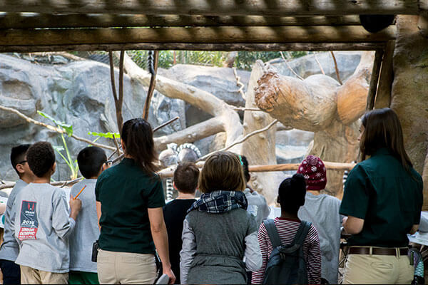 MN Zoo - Slider Image 2 - Educationplanfield1 Copy