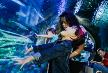 SEA LIFE AT MALL OF AMERICA | Educational Workshops at SEA LIFE!