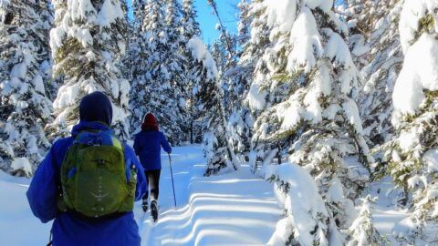 WOLF RIDGE ENVIRONMENTAL LEARNING CENTER | Gift Yourself a Winter Retreat!