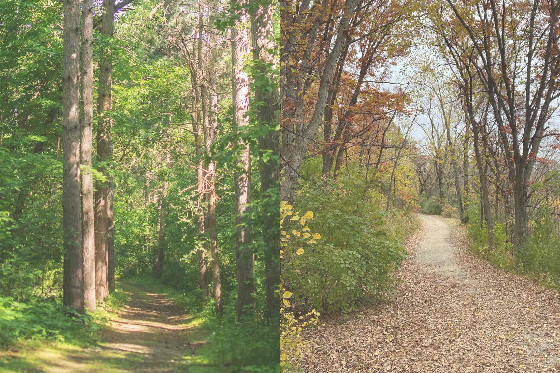 Caponi Art Park - Slider Image 4 - D