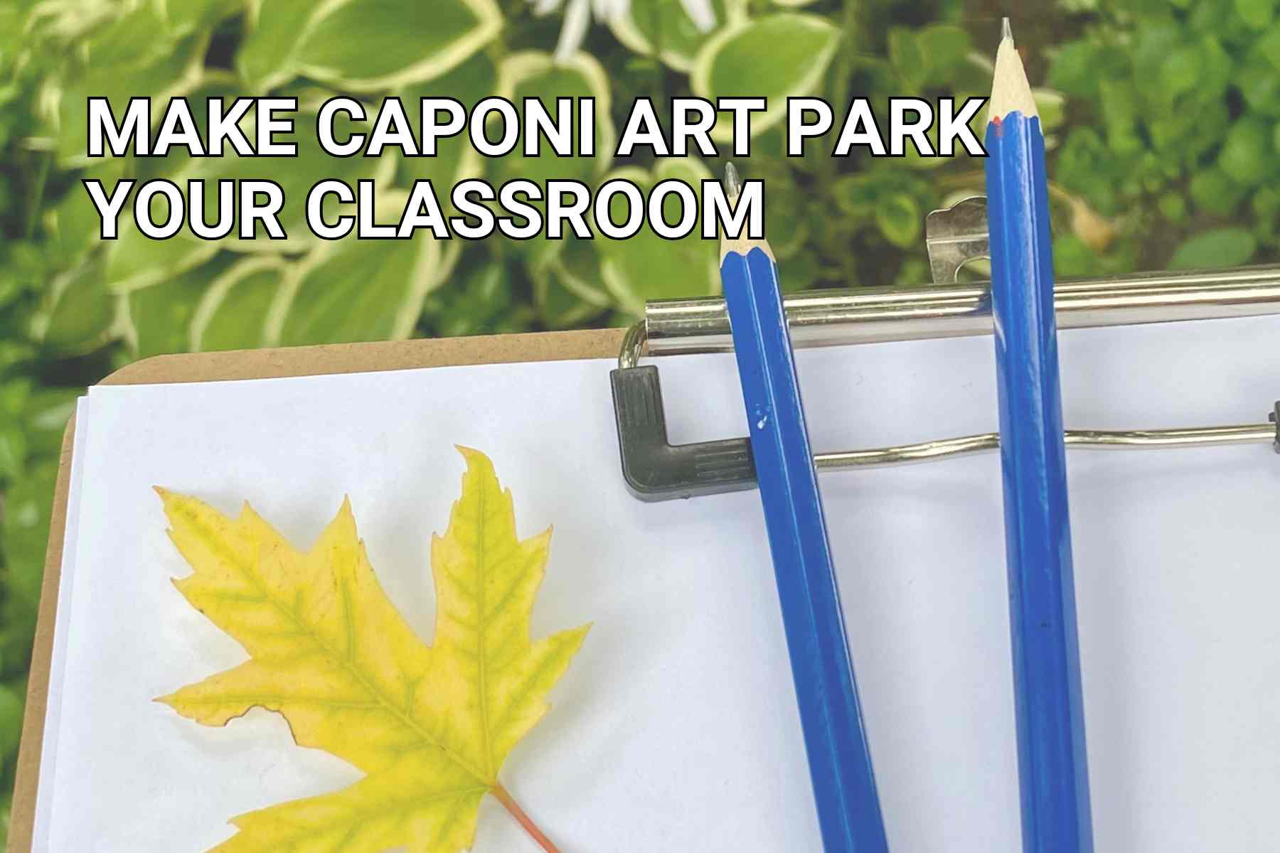 Caponi Art Park - Slider Image 5 - E