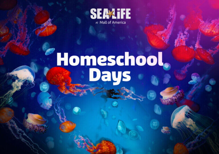 SEA LIFE AT MALL OF AMERICA | Homeschool days return to SEA LIFE!