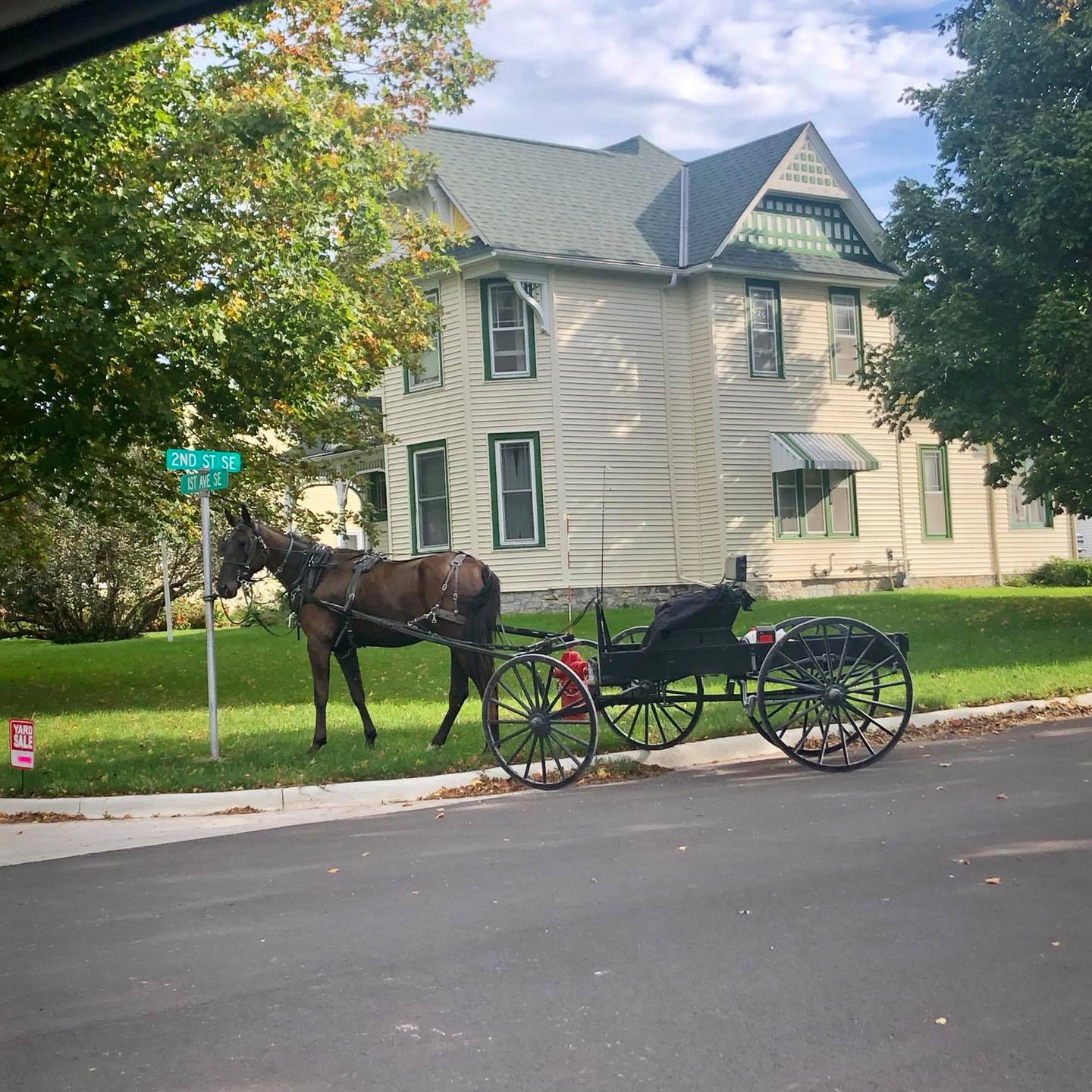 Amish Tours of Harmony - Slider Image 4 - Buggy In Town