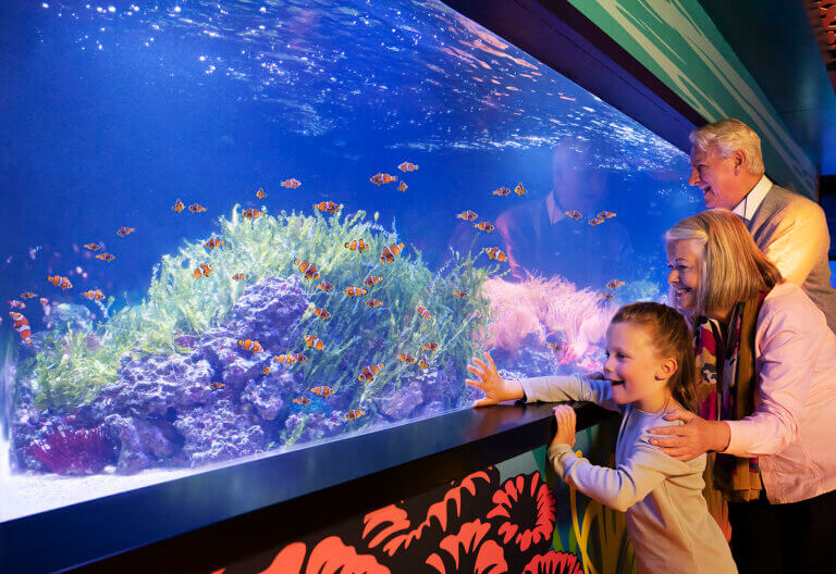 SEA LIFE AT MALL OF AMERICA | SEA LIFE Workshops!