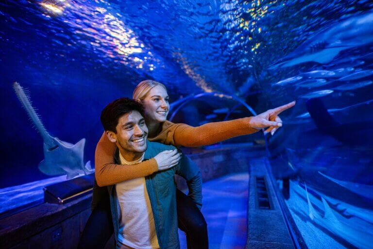 SEA LIFE AT MALL OF AMERICA | SEA LIFE Summer Fun!