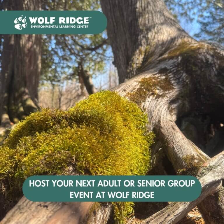 WOLF RIDGE ENVIRONMENTAL LEARNING CENTER | Senior & Adult Retreats at WR