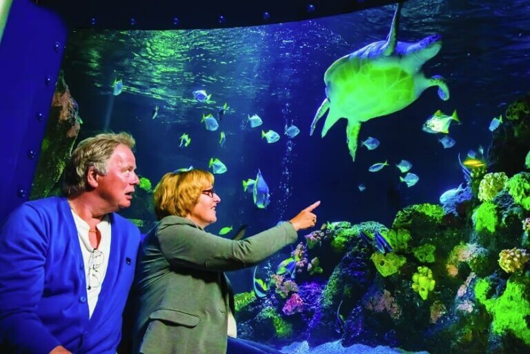 SEA LIFE AT MALL OF AMERICA | SEA LIFE Teacher Appreciation!