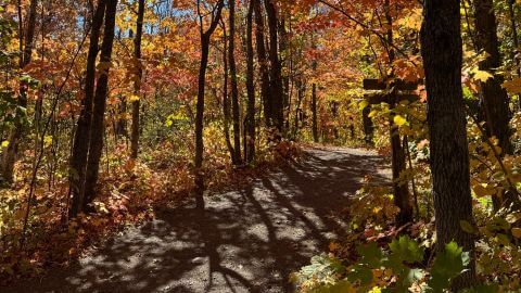 WOLF RIDGE ENVIRONMENTAL LEARNING CENTER | Fall Colors at Wolf Ridge