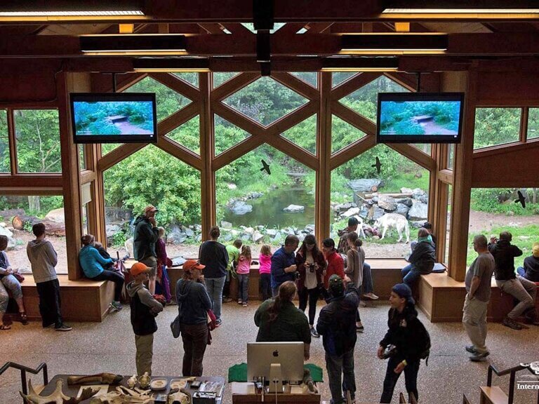 INTERNATIONAL WOLF CENTER | Embrace Your Connection to Nature!