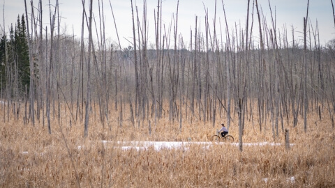 MINNESOTA HISTORICAL SOCIETY | Forest History Center bike trails