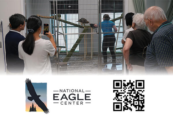 NATIONAL EAGLE CENTER | Meet Live Raptors Behind the Scenes
