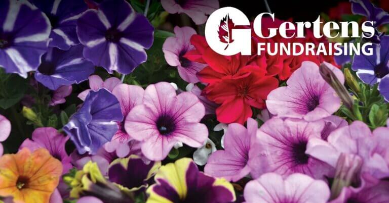 GERTENS FUNDRAISING | PLAN FOR SUCCESS IN 2026!