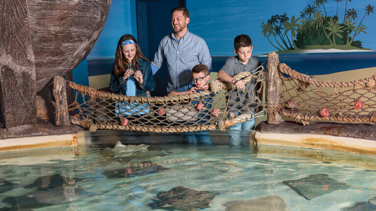 SEALIFE AT MALL OF AMERICA | Homeschool Days at SEA LIFE!