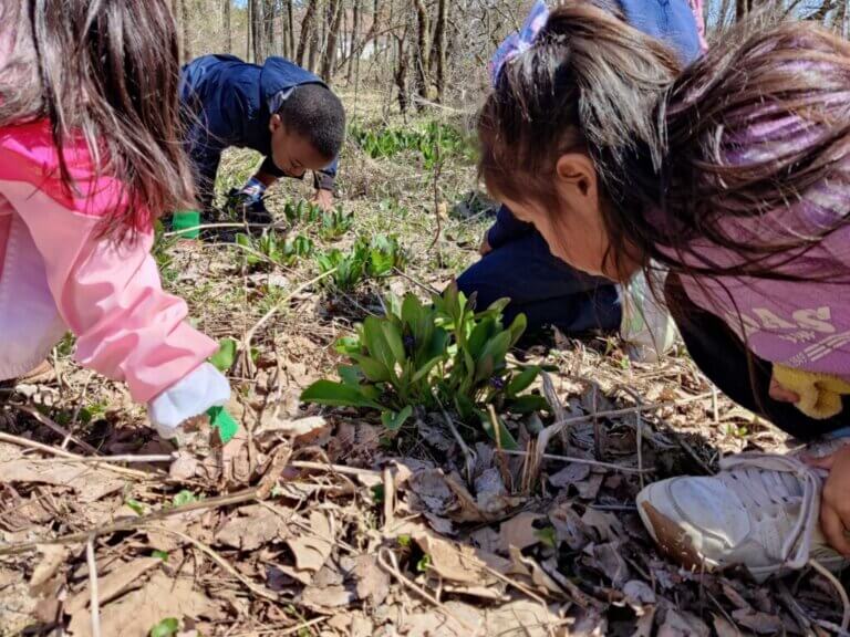 DISCOVER AUSTIN MN | Hormel Nature Center Classes