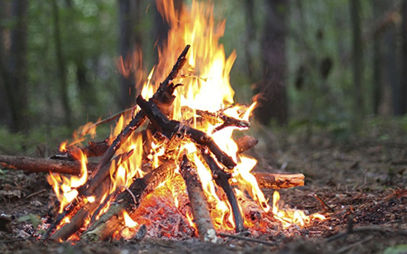 Outdoor Learning Center - Slider Image 5 - OLC 5 1