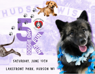 ANDERSON RACE MANAGEMENT | Do It for the Dogs!